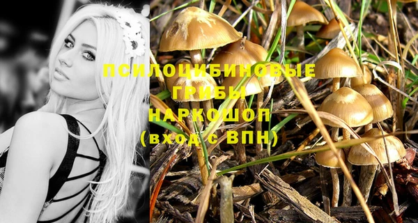 марки lsd Алексеевка