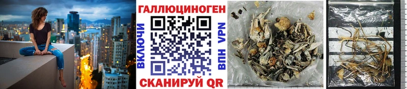 Псилоцибиновые грибы MAGIC MUSHROOMS  Купить  Тейково 